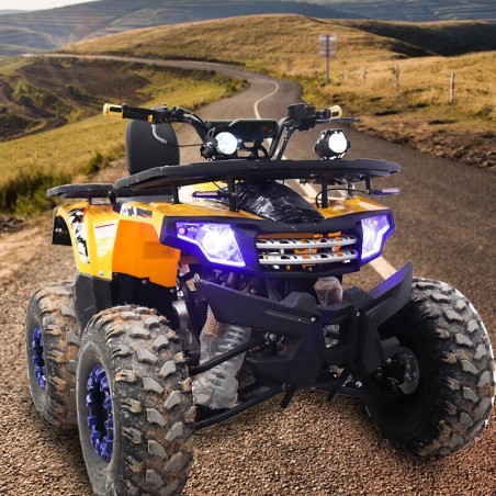 Quad Gazoline ATV de 125CC 4 Temps