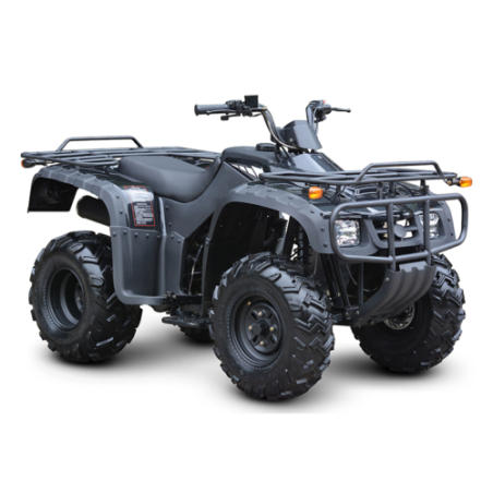 Quad Gazoline ATV de 250CC 4 Temps 4X4