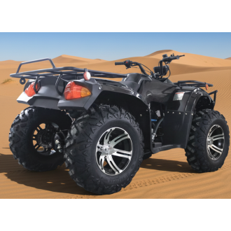 copy of Quad Benne Gazoline ATV Avec Benne de 250 CC 4...