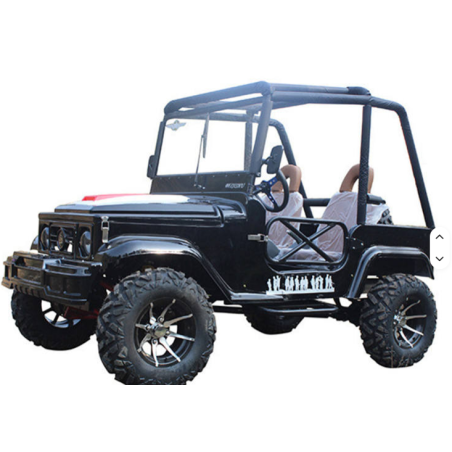 Mini Willys à 2 places à transmission automatique par arbre cardan, 4 temps, 320cc