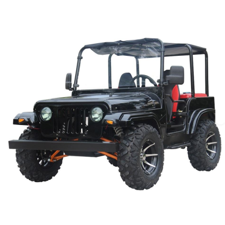 Mini Jeep à 2 places De 200CC automatique à essence avec moteur 4 temps De 1000W