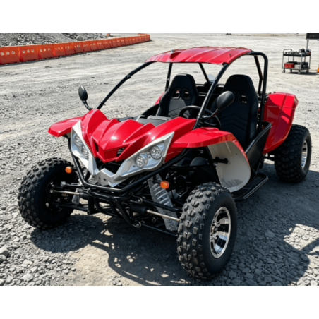 copie de Buggy LNA De 500cc En 2x4 Et 4x4 En Automatique Maxi 100 Km/h